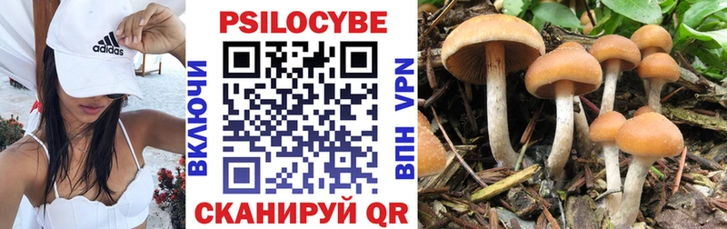 где купить наркоту  Тихорецк  blacksprut tor  Псилоцибиновые грибы мицелий 