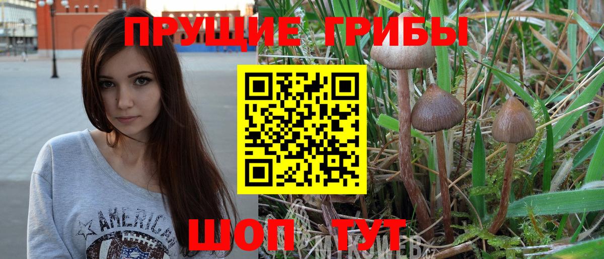 Псилоцибиновые грибы MAGIC MUSHROOMS Тихорецк